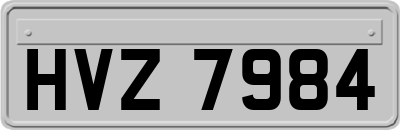 HVZ7984