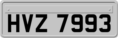 HVZ7993