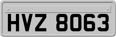 HVZ8063