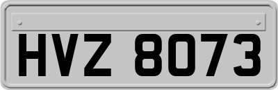 HVZ8073