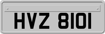 HVZ8101