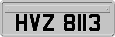 HVZ8113