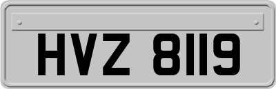 HVZ8119