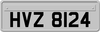 HVZ8124