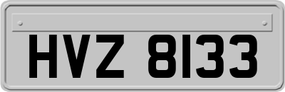 HVZ8133