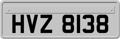HVZ8138