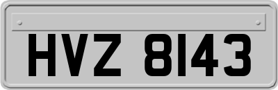 HVZ8143