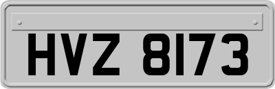 HVZ8173