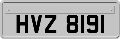 HVZ8191