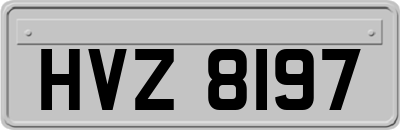 HVZ8197