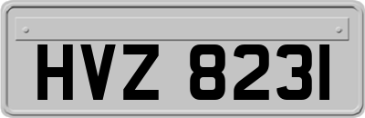 HVZ8231
