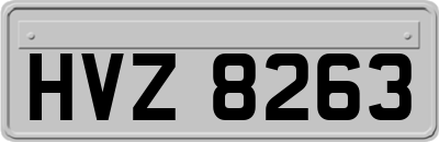HVZ8263