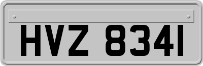 HVZ8341