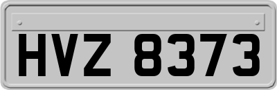 HVZ8373