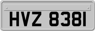 HVZ8381