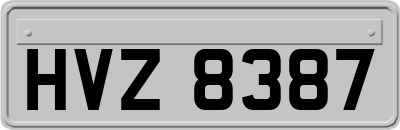 HVZ8387