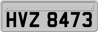 HVZ8473