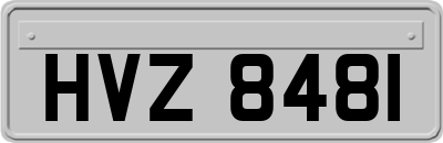 HVZ8481