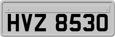HVZ8530