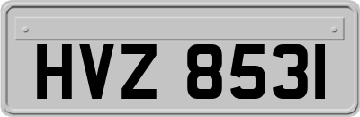 HVZ8531