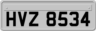 HVZ8534