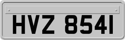 HVZ8541
