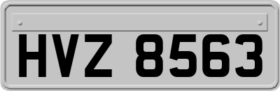 HVZ8563