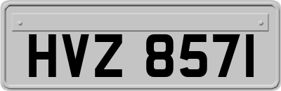 HVZ8571