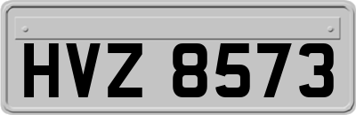 HVZ8573