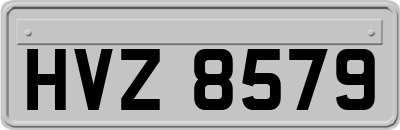 HVZ8579