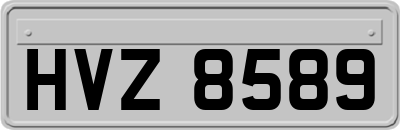 HVZ8589