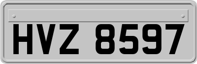 HVZ8597