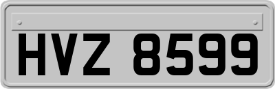HVZ8599