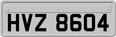 HVZ8604