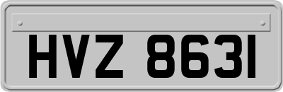 HVZ8631