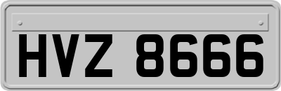 HVZ8666