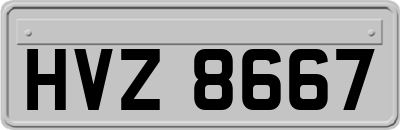 HVZ8667