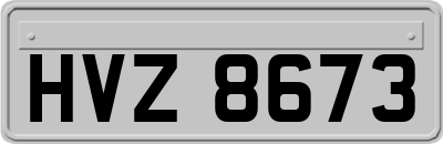 HVZ8673