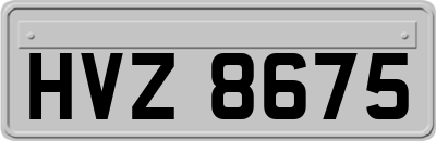 HVZ8675