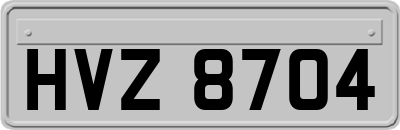 HVZ8704