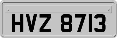 HVZ8713