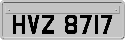 HVZ8717