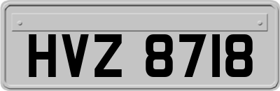 HVZ8718