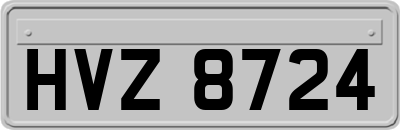 HVZ8724