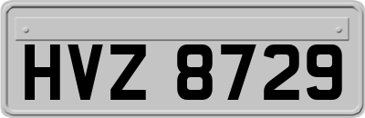 HVZ8729