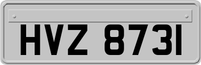 HVZ8731