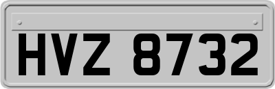HVZ8732
