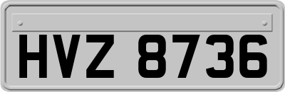 HVZ8736