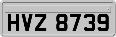 HVZ8739