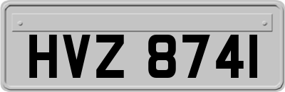 HVZ8741